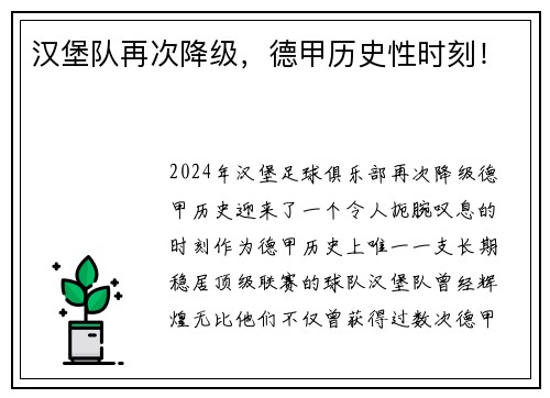 汉堡队再次降级，德甲历史性时刻！