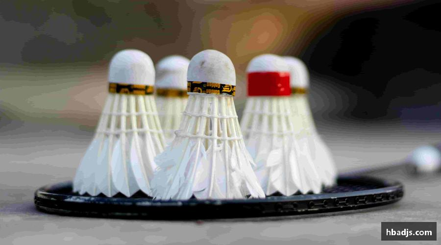 🏆 点燃你的热血时刻！顶级赛事，激情永不落幕！